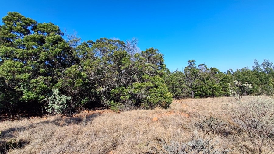 Commercial Property for Sale in Swartruggens North West